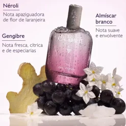 Caudalie Thé Des Vignes Eau Fraîche 100ml