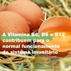 COMPLEXO B Xarope 100ml | Sabor Banana | Vitaminas B para Energia | +3 Anos