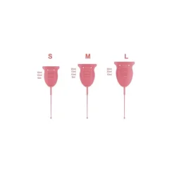Enna Cycle Copo Menstrual e Caixa Esterilizadora S x2