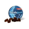 Eucalygum Gomas Sem Açúcar 32g | Mentol e Eucalipto - Descongestionante Respiratório