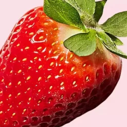 Kencko Smoothie Proteína Vegan Morango 2x35g | 11g Proteína
