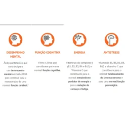 MentalAction Adultos – Suplemento 30 Dias Desempenho Mental, Energia e Stress