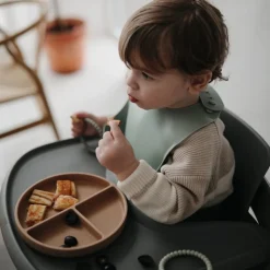Mushie Prato com Ventosa Bordeaux 6+ Meses | 3 Compartimentos