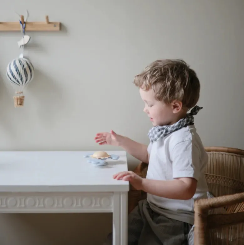 Mushie Spinner Sunshine com Ventosa +10 Meses | Brinquedo Sensorial de Silicone