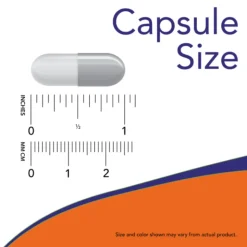 NOW Choline & Inositol 500mg 100 Cápsulas | Suporte ao Sistema Nervoso e Função Cerebral | Saúde do Fígado e Metabolismo