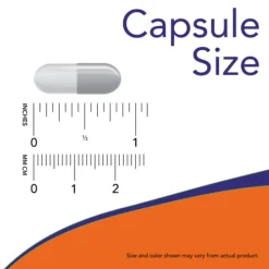 NOW 5-HTP 100mg 60 Cápsulas Vegetais | Suporte Neurotransmissor e Humor Positivo