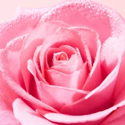 Nuxe Very Rose Esfoliante Rosto Luminosidade 75ml