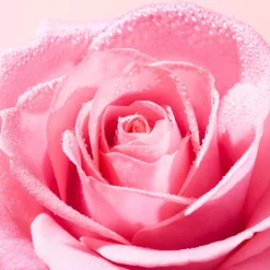 Nuxe Very Rose Gel de Duche Calmante 750ml | Pele Sensível