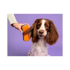 Pet Teezer DeTangling Laranja e Azul