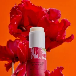 Roger & Gallet Gingembre Rouge Perfume Sólido 5g