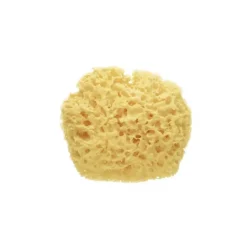 Saro Esponja Premium